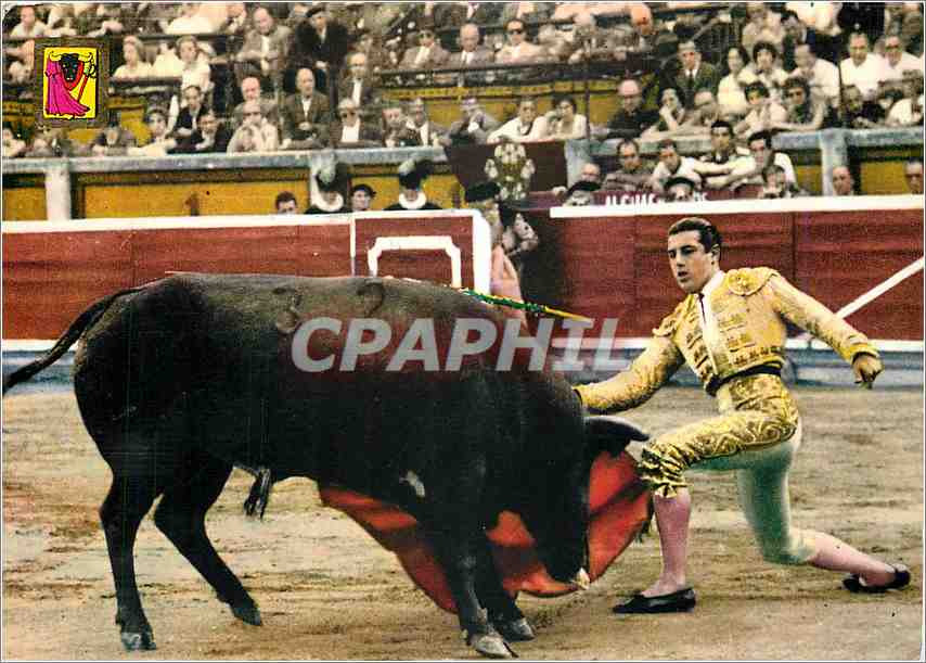CPM Corrida
