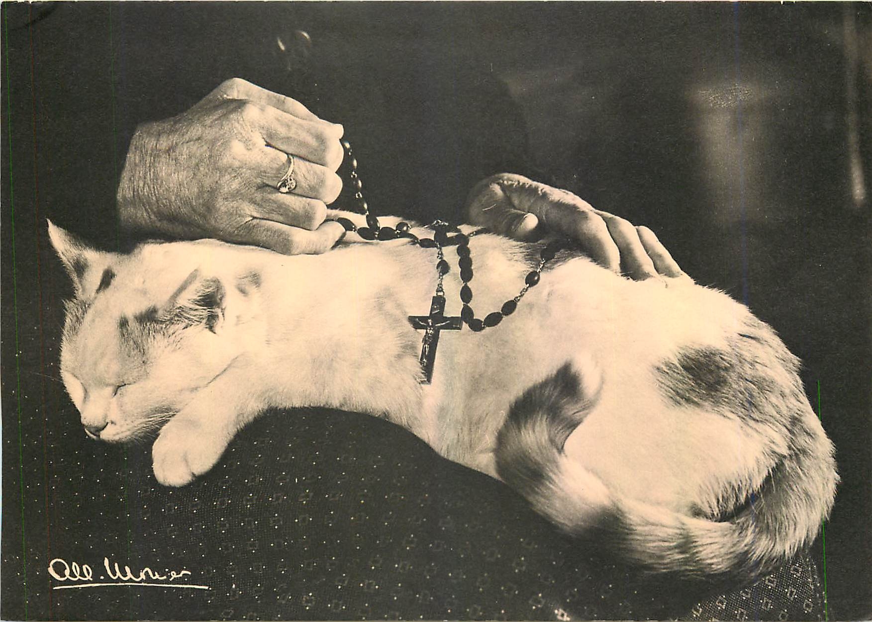 CPM Albert Monier A chacun son refuge Chat