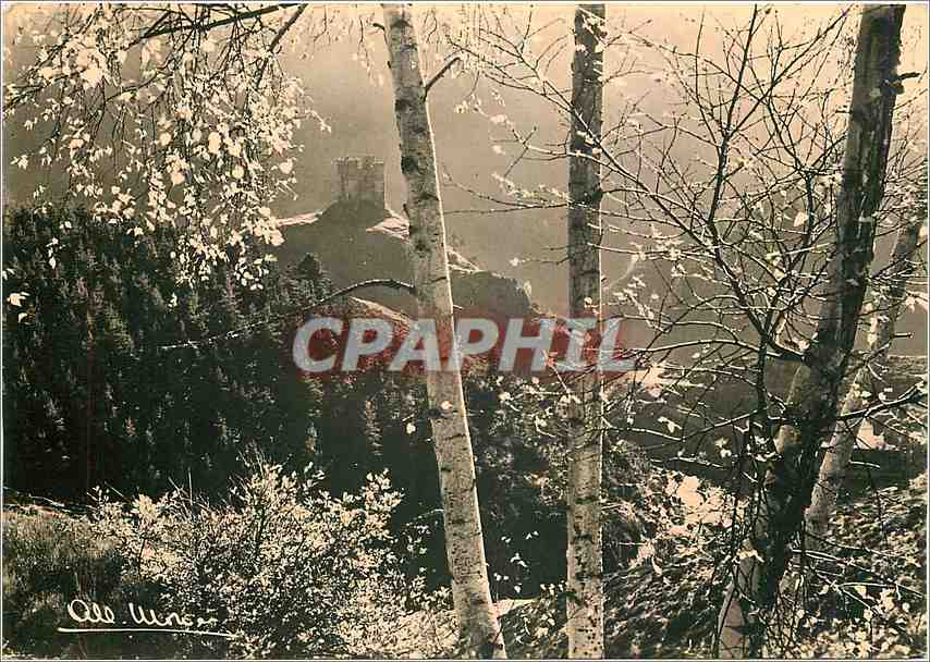 CPM Environs de Saint Flour Cantal Le Chateau d'Alleuze 