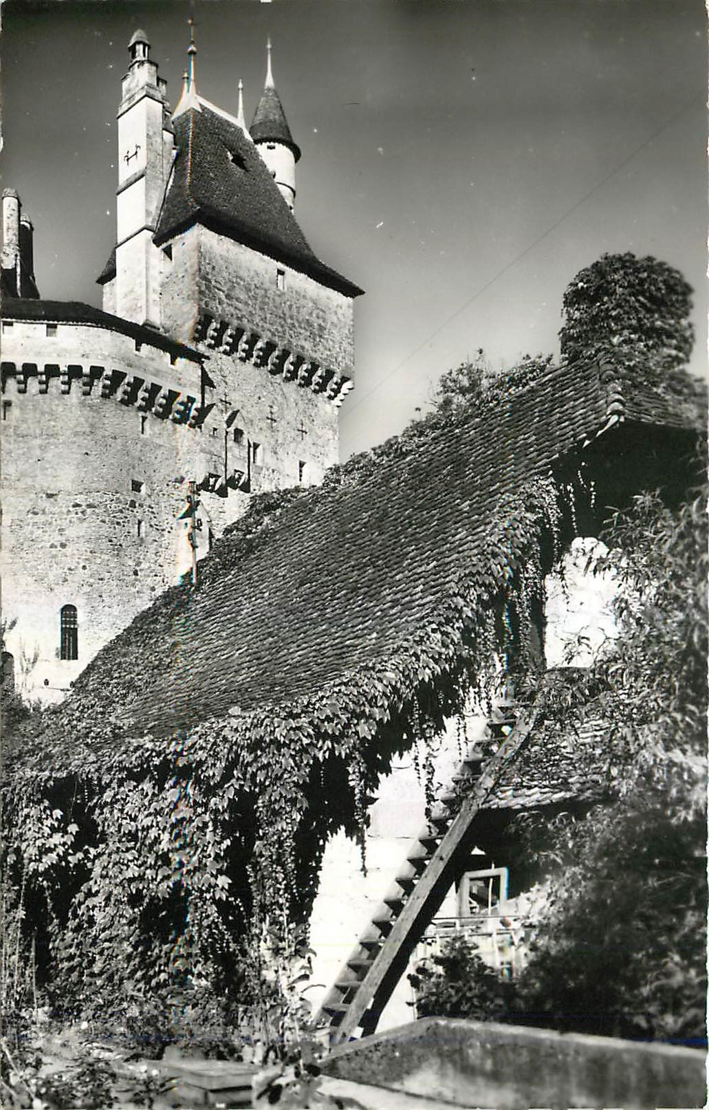CPM Vieilles Demeures Chateau de St Bernard de Menthon 