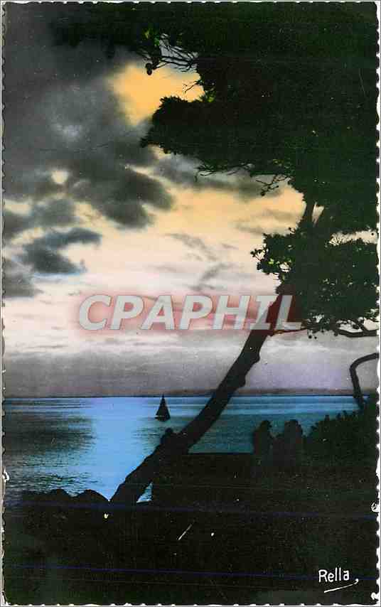 CPM La Cote d'Azur Contre jour 