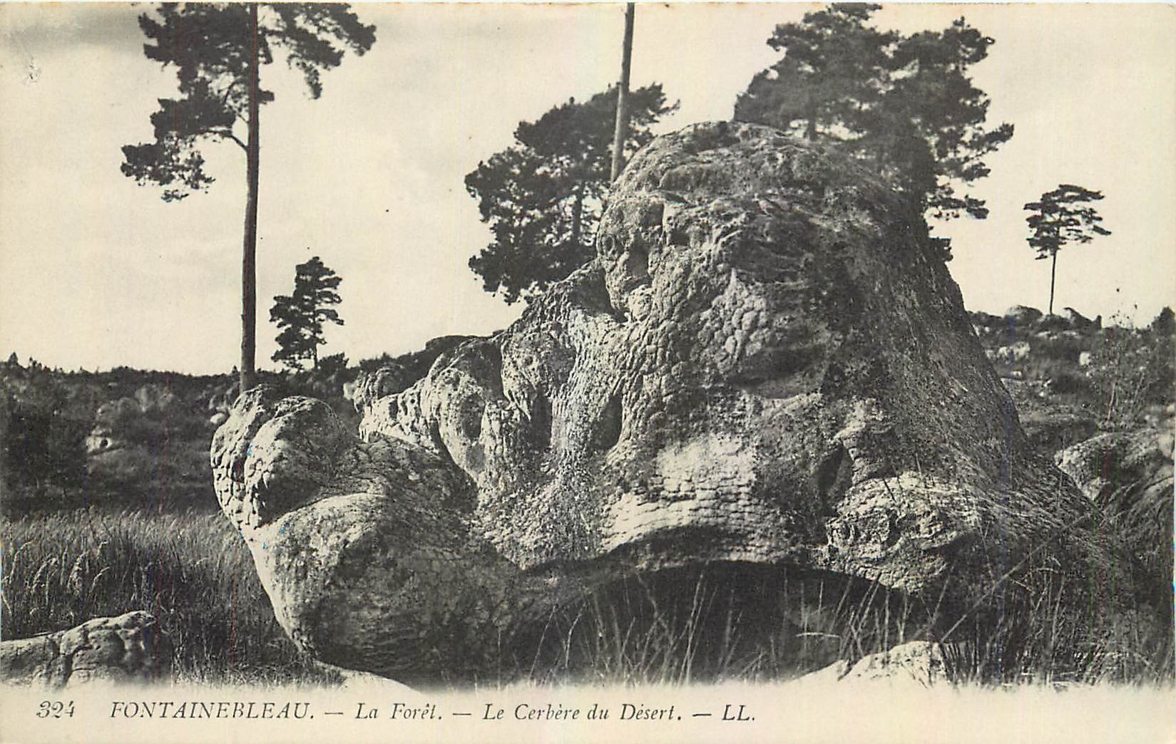 Fontainebleau — Die Forêt — Der Cerbère des Déserts — LL. — N° 324