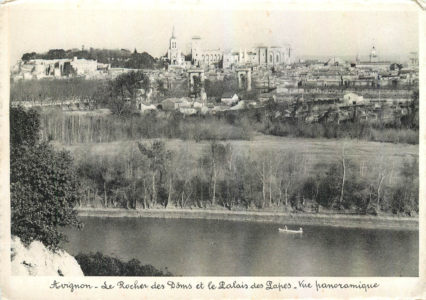 CPM Avignon Le Rocher des Doms et le Palais des Papes Vue Panoramique 