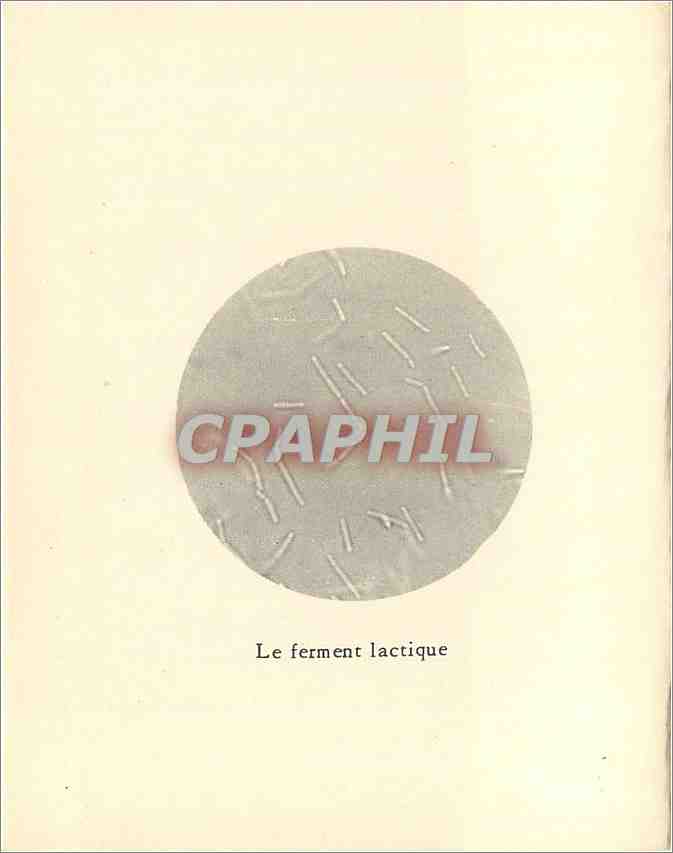 CPM Pasteur en 1857 Centenaire du premier memoire de Pasteur sur les fermentations  — Back