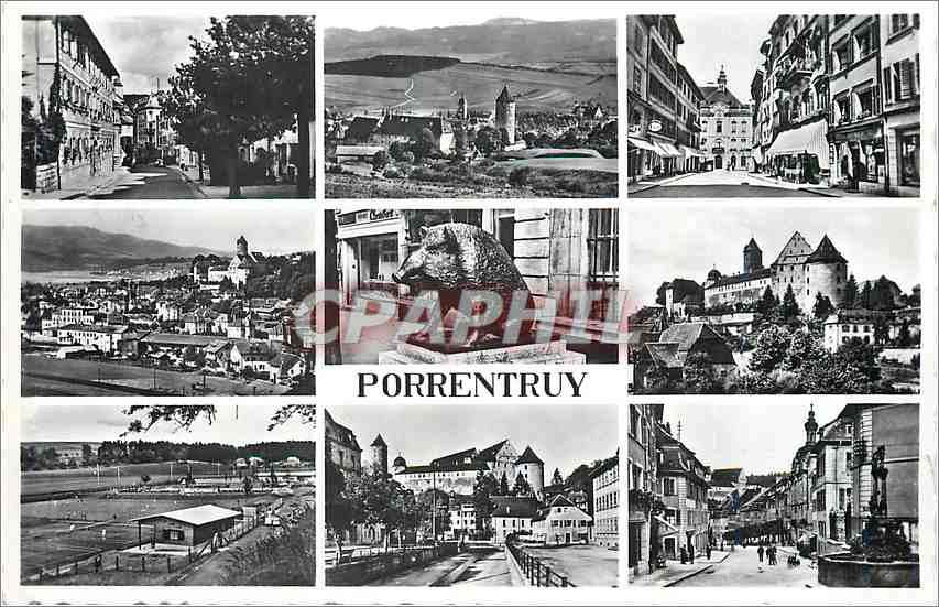 CPM Porrentruy Sanglier