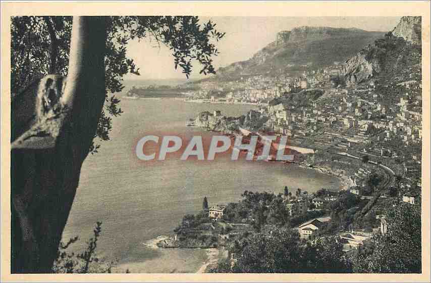 CPA La Cote d'Azur La Principaute de Monaco Vue de Roquebrune 