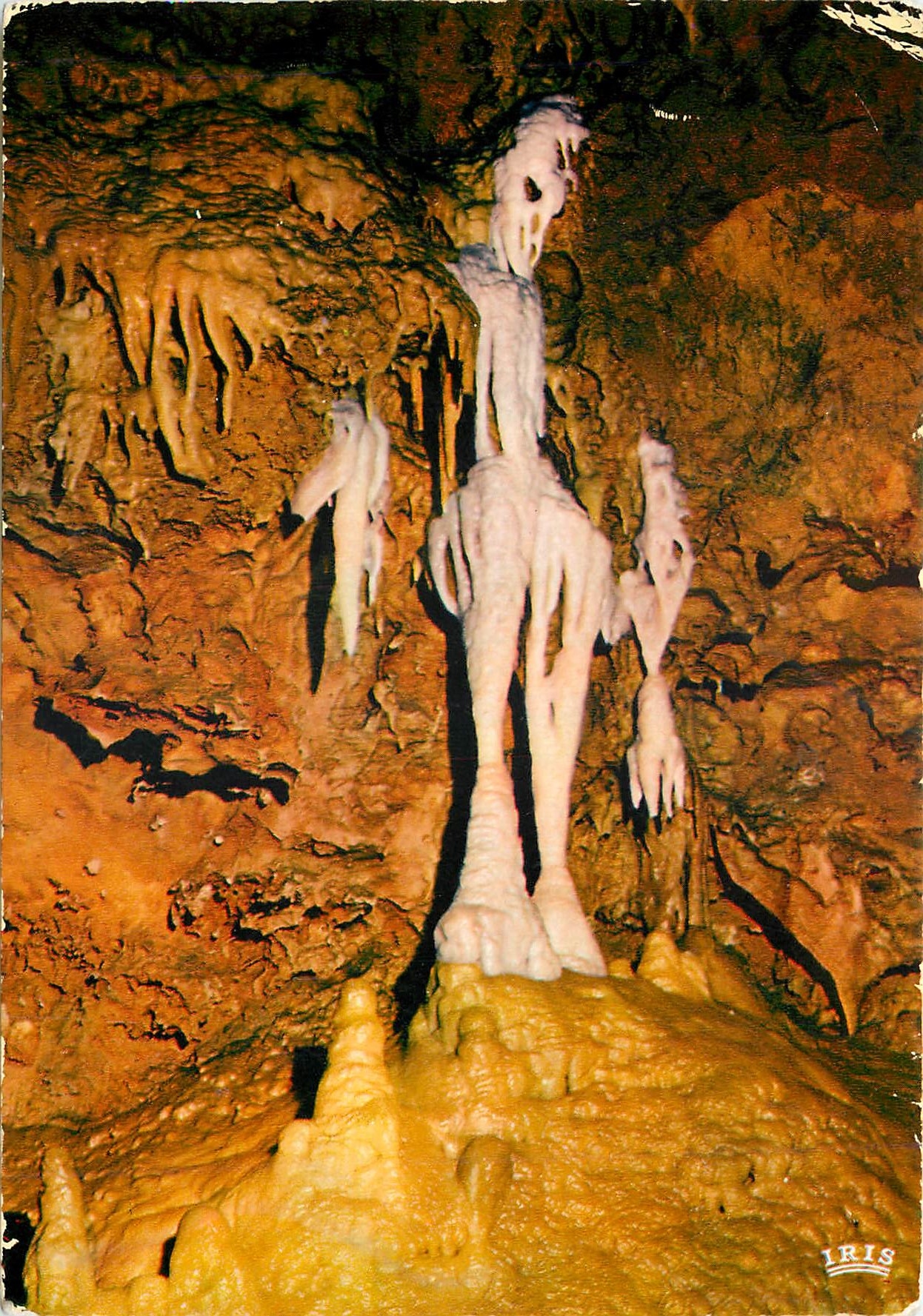 CPM La cote d'azur les grottes de saint cezaire le squelette