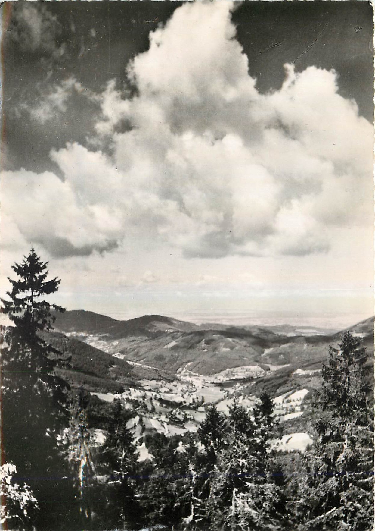 CPM La Foret Noire aux Environs de Baden Baden