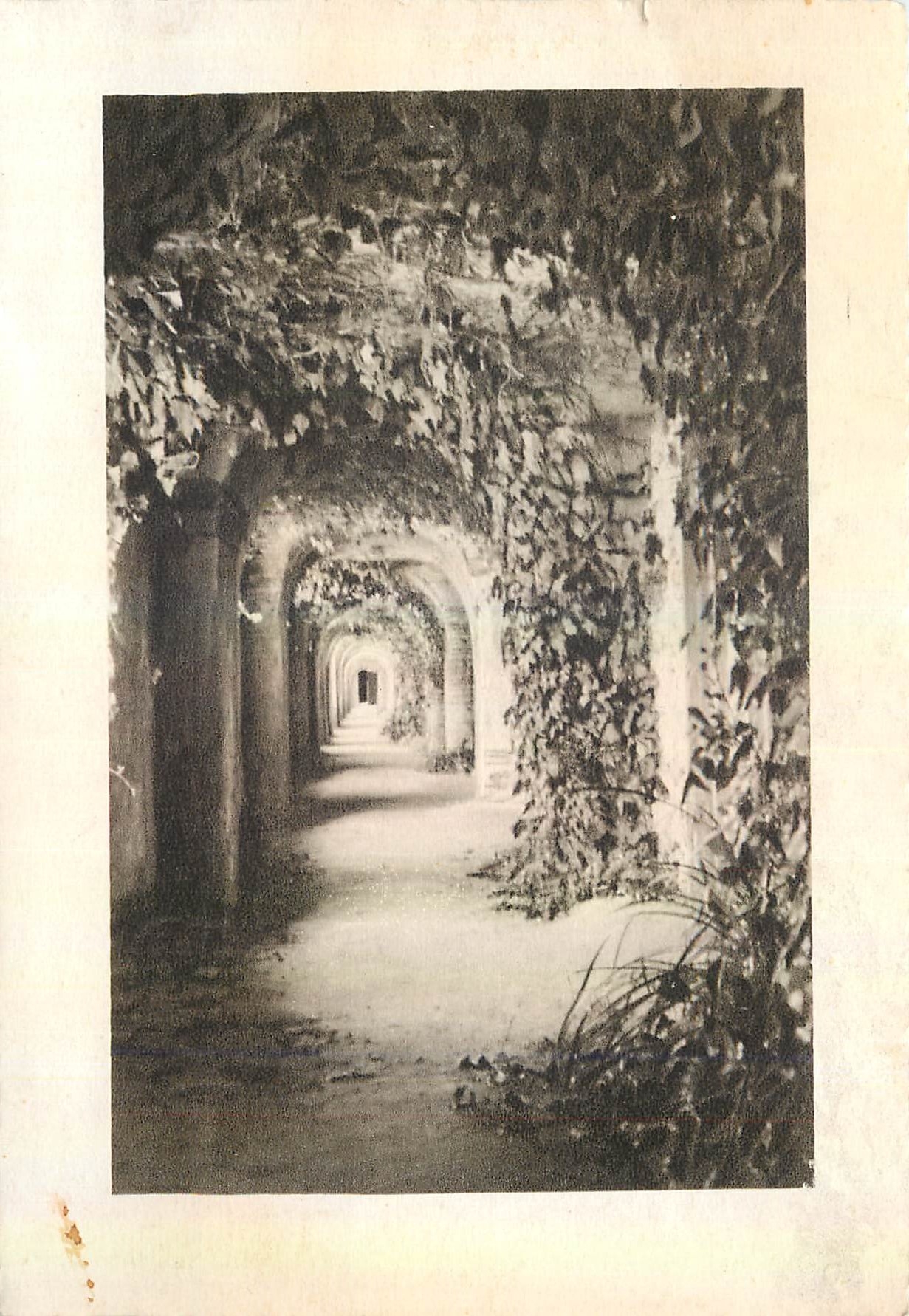 CPM Sarde l'Abbaye (Landes) La galerie souterraine du monastere