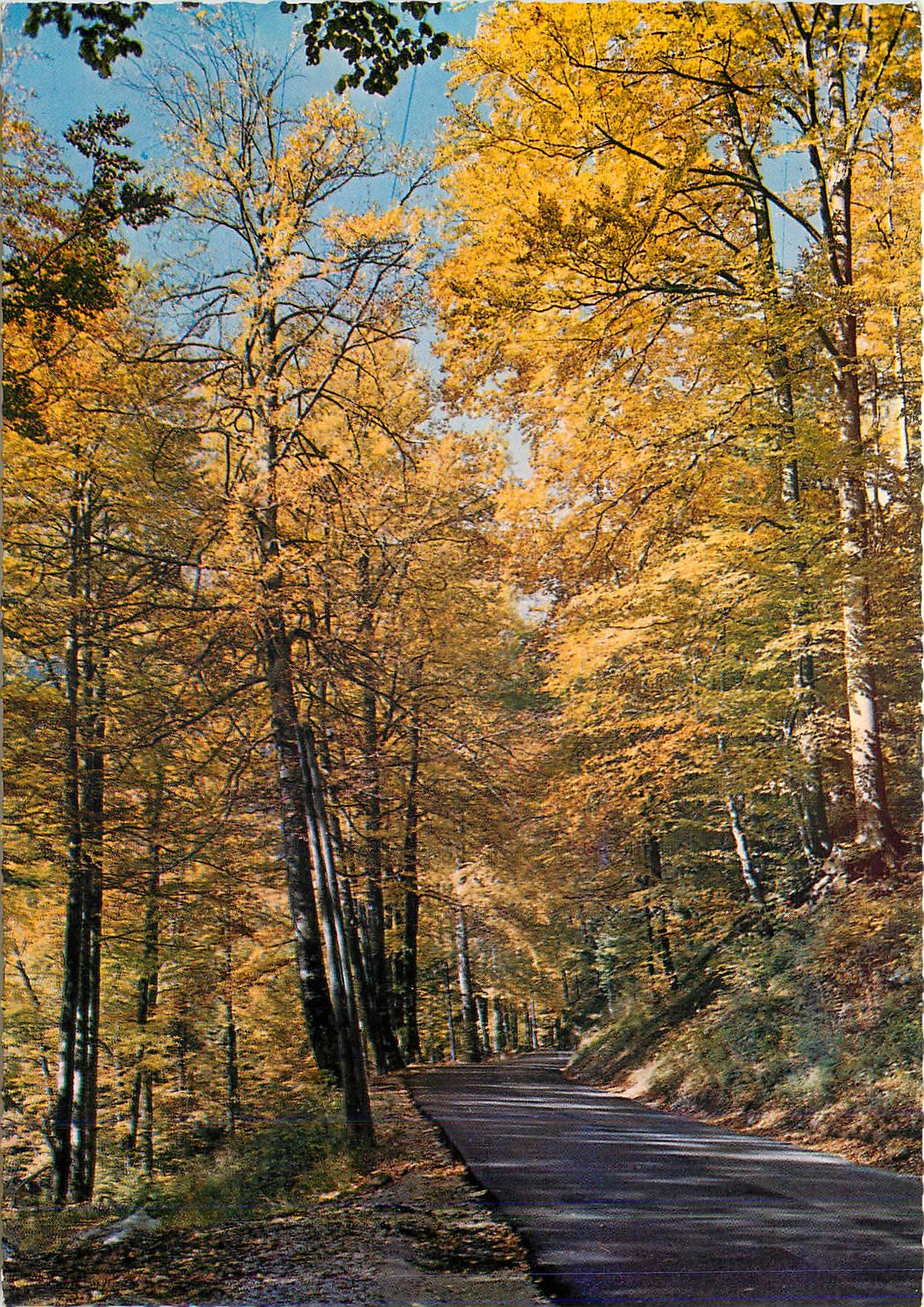 CPM Sur une route des Alpes en automne