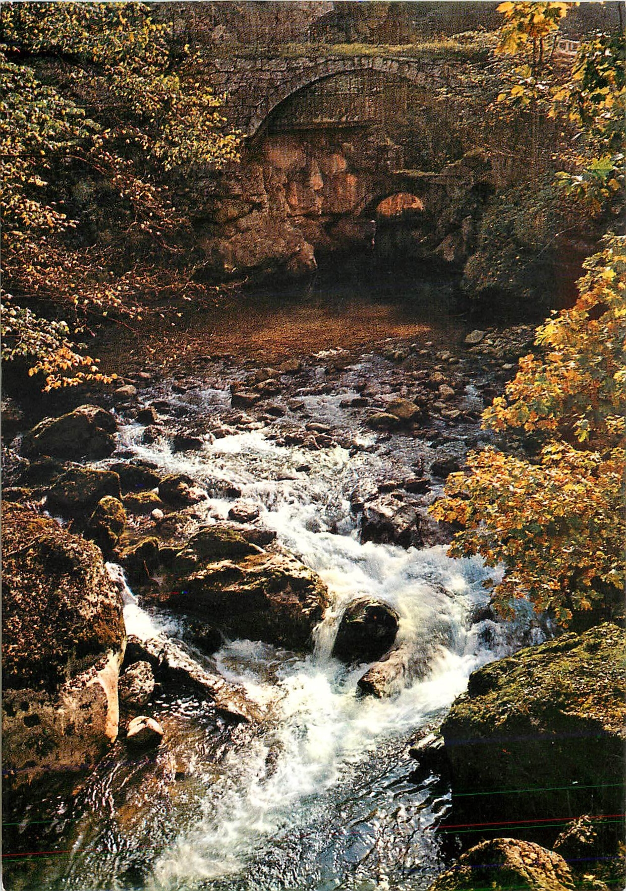 CPM Pittoresque Route des Alpes automne un vieux pont moussu enjambe le torrent