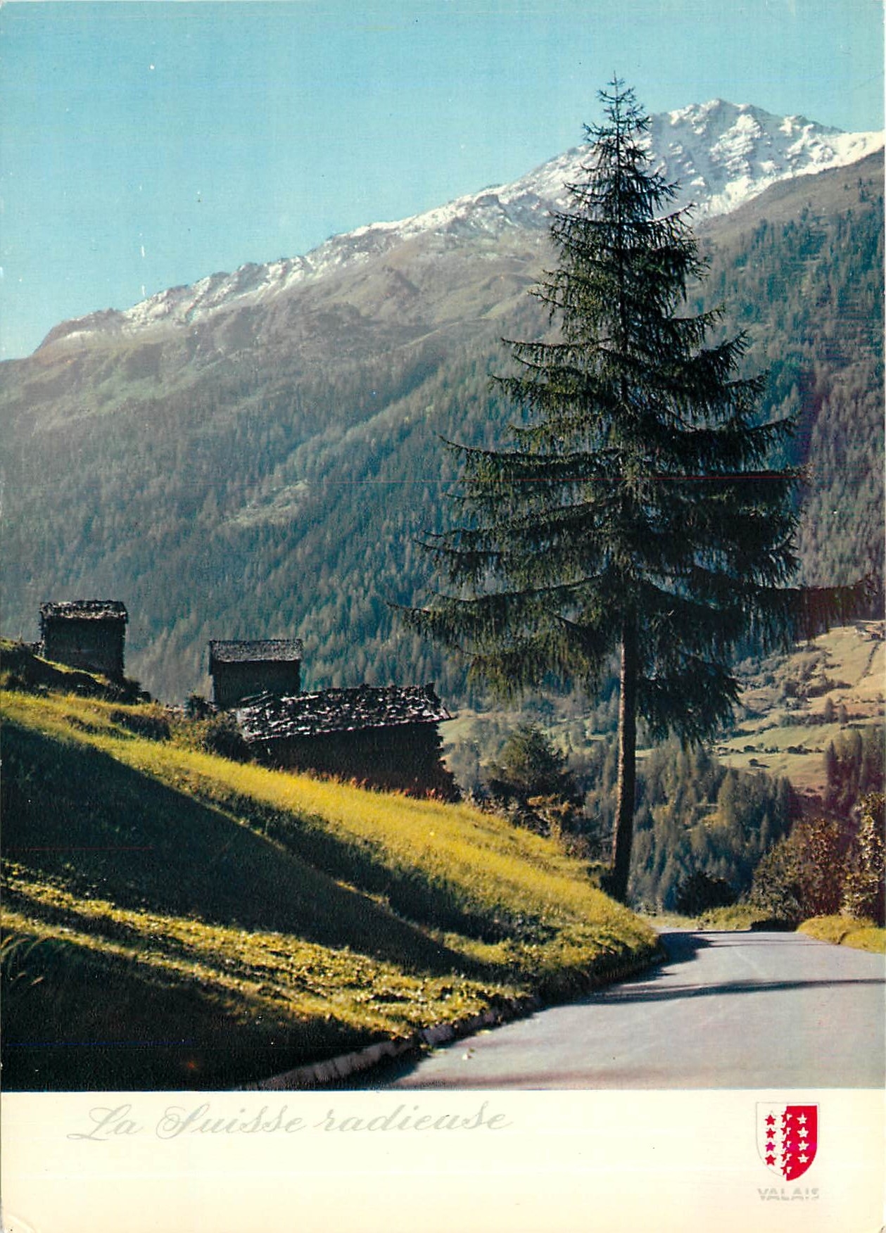 CPM La suisse Radieuse Paysage du val d'Herens