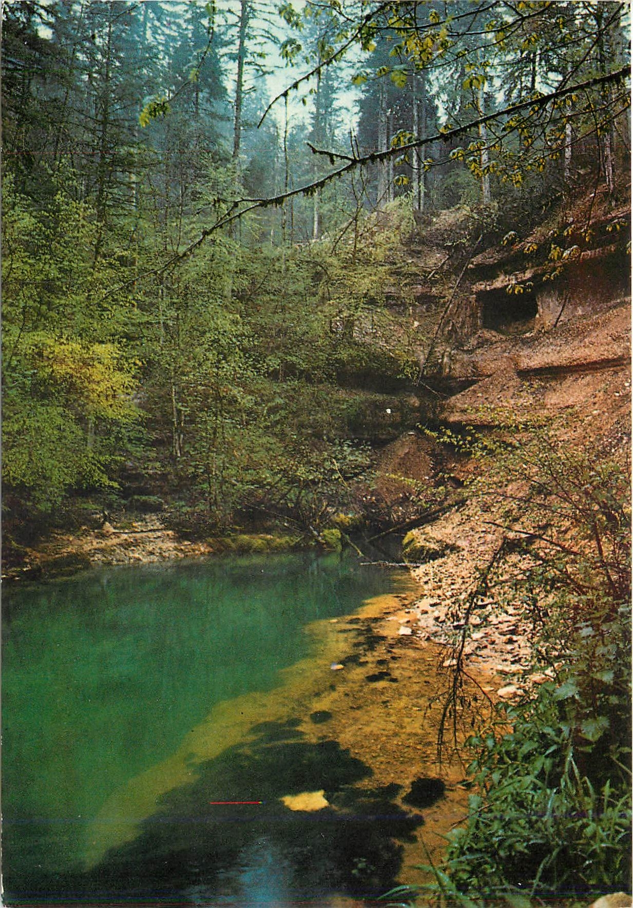 CPM Paysages du Jura les Sources de l'Ain