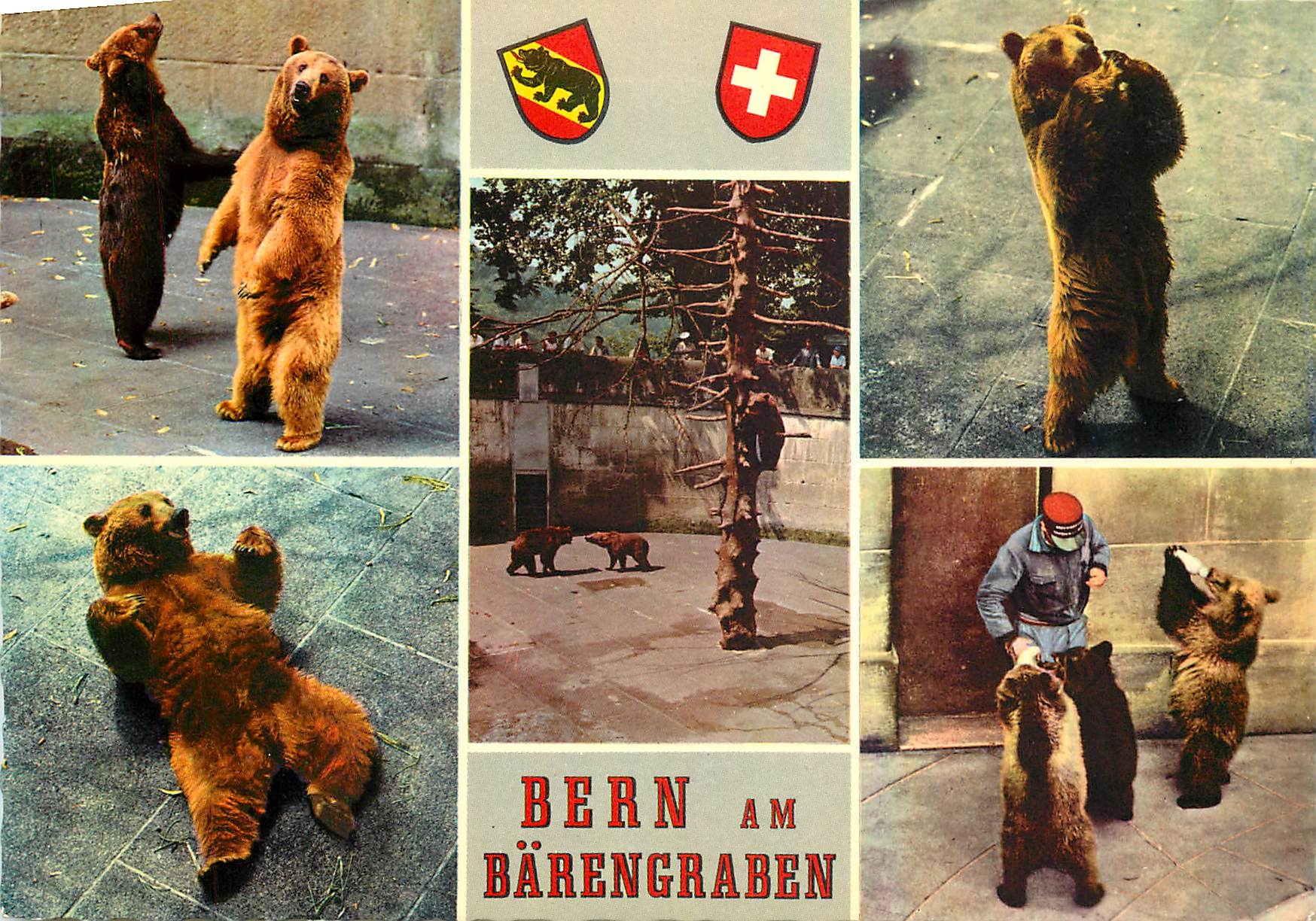 CPM Bern Am Barengraben La Fosse aux Ours