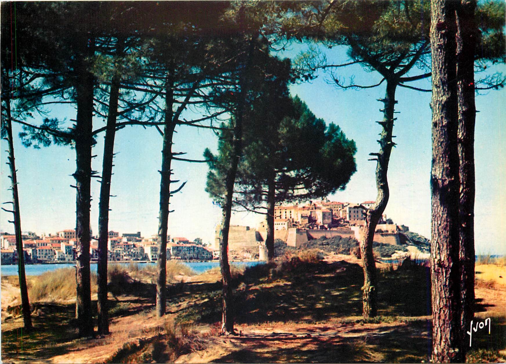 Calvi — Vue générale à travers les pins et les dunes bordant la plage