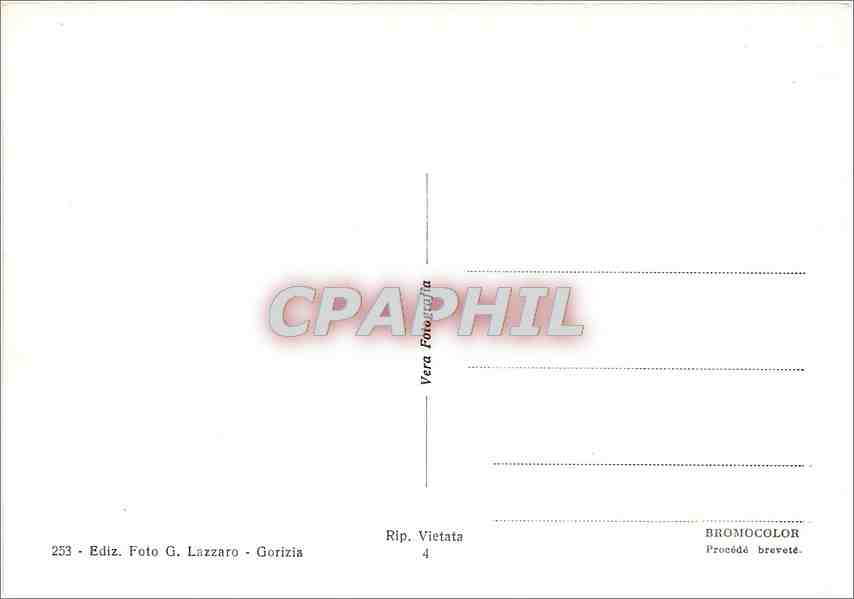 CPM S Michelle Gorizia — Back