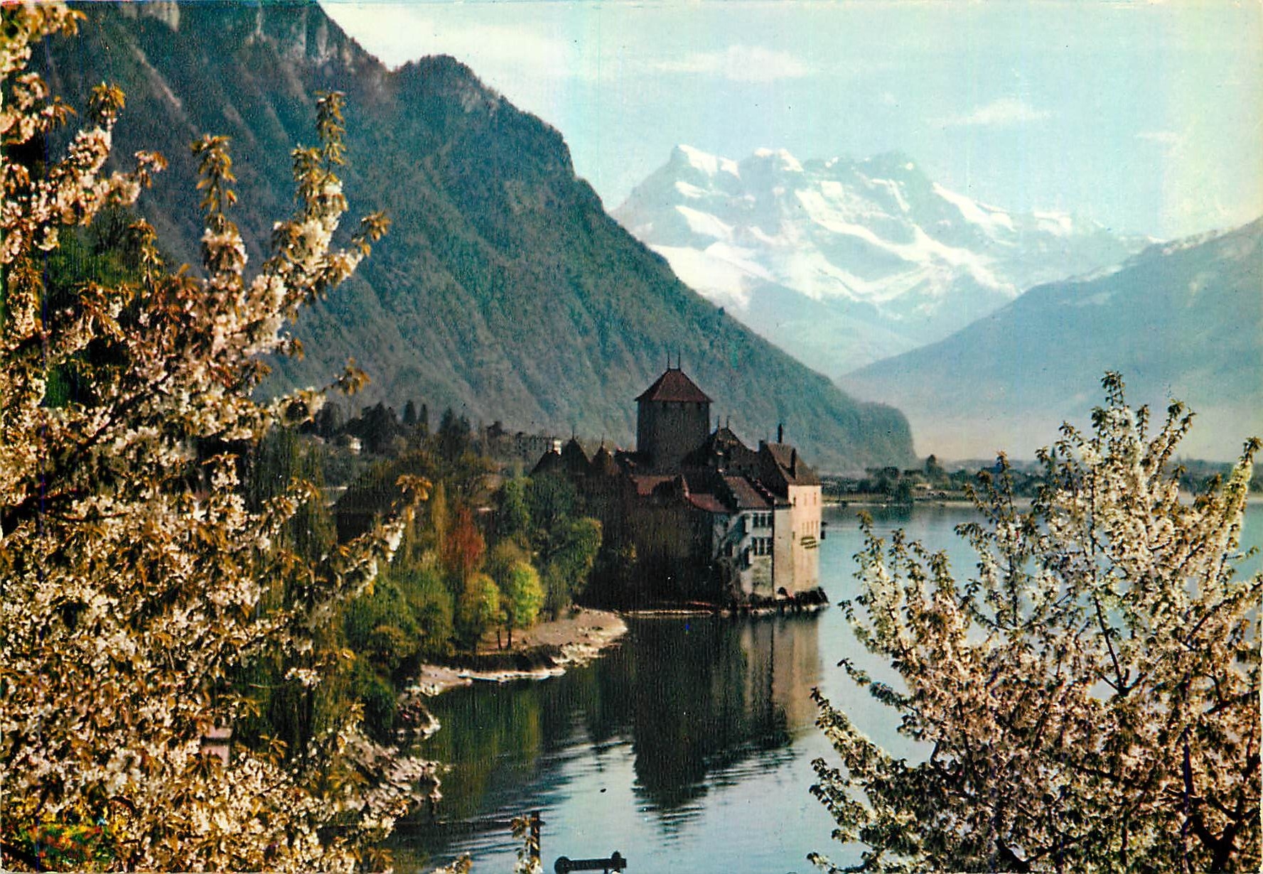 CPM Lac Leman le chateau de chillon et les dents du midi au printemps