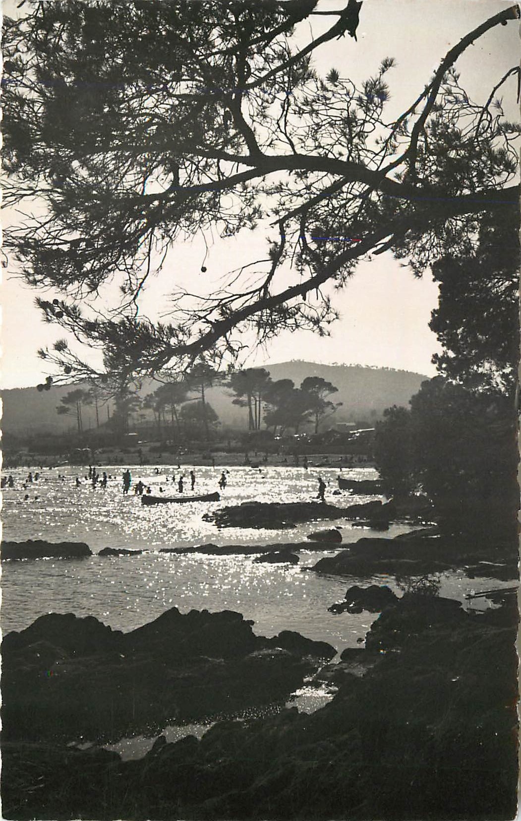 CPM La Faviere (environs du Lavandou) coucher de soleil