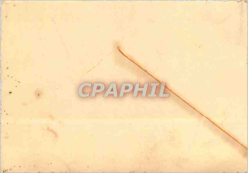CARTE PHOTO Poissons Peche — Verso