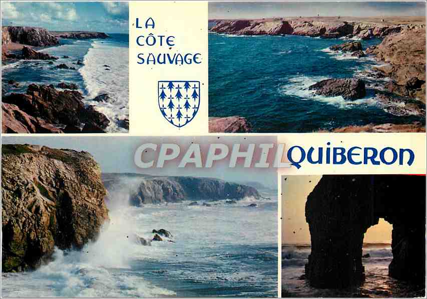 CPM La Cote Sauvage Quiberon divers aspects de la cote sauvage