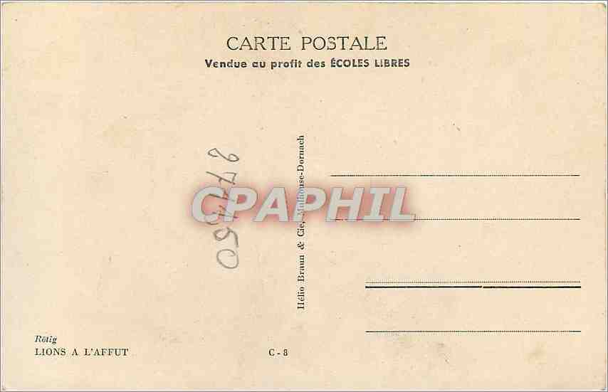 CPM Lions a l'Affut Rotig — Back