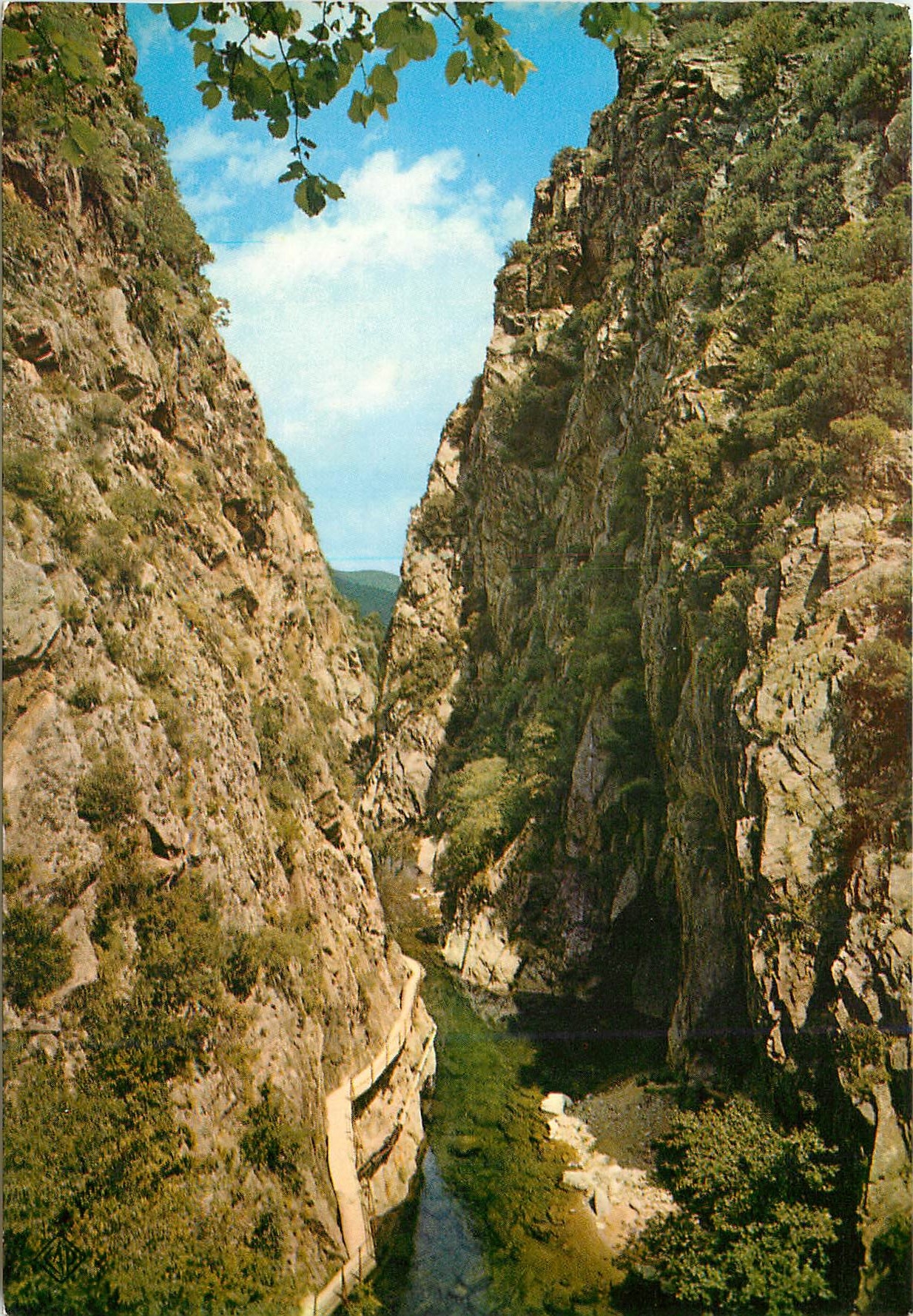 CPM Amelie les Bains Perle des Pyrenees Les Gorges du Mondony