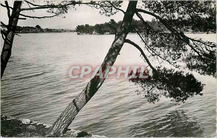 Aix-en-Provence — Etang du Réaltor — Éditions du Globe, Paris