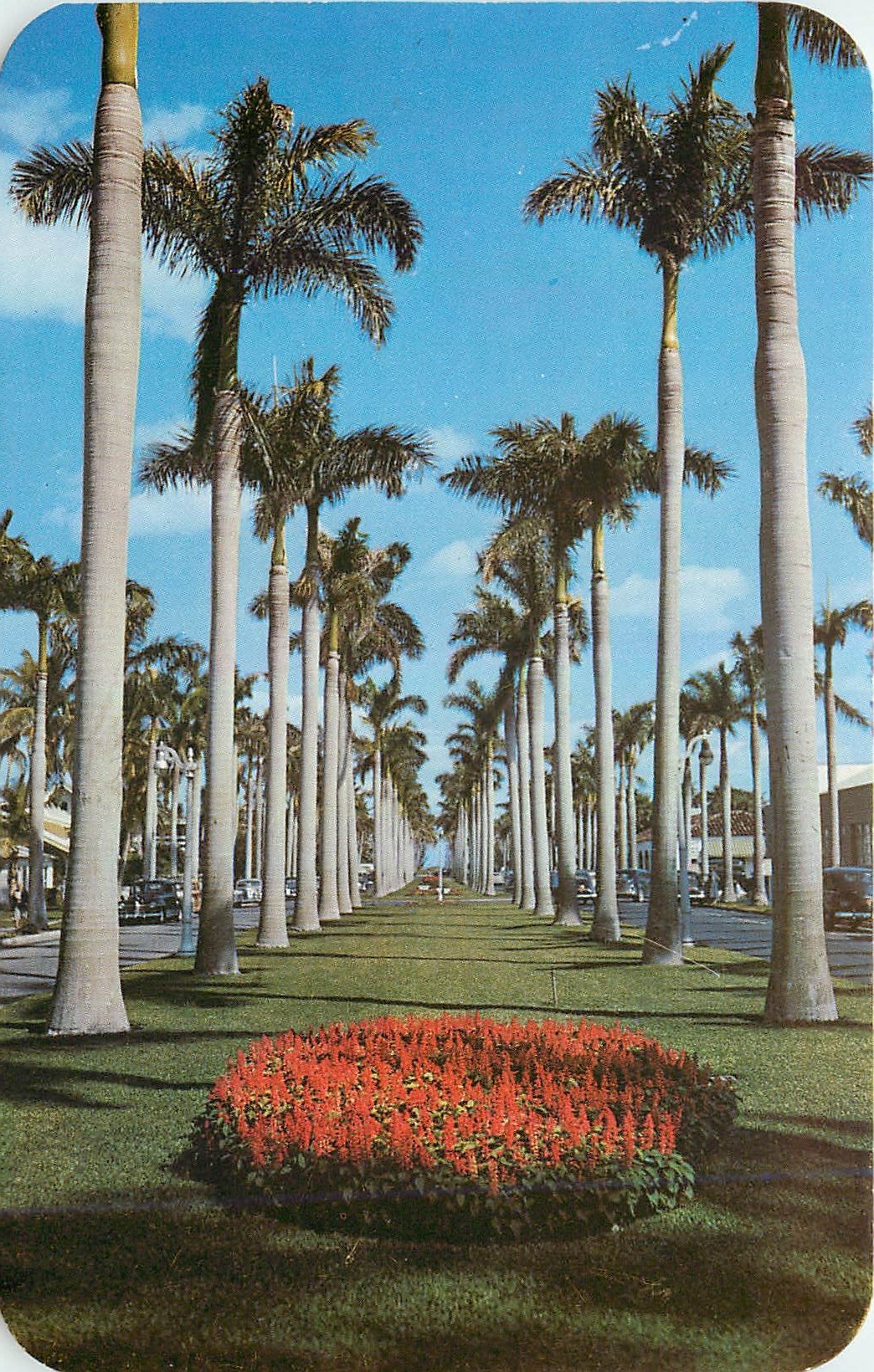 CPM Royal Way OF palm Beach Florida