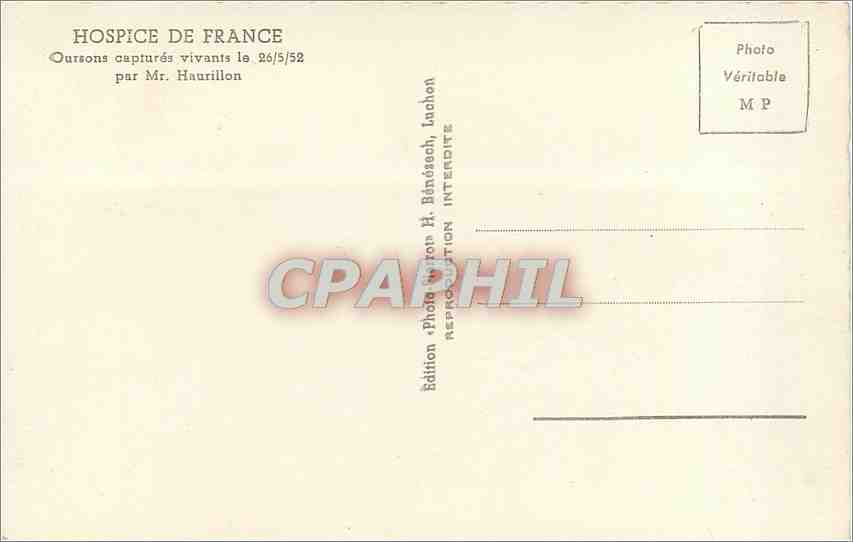 Oursons capturés vivants — Hôpice de France — Photo Mr. Bénésch, Lachon — Verso