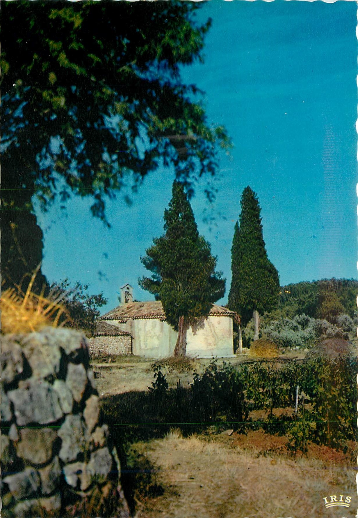 CPM La Provence Pittoresque