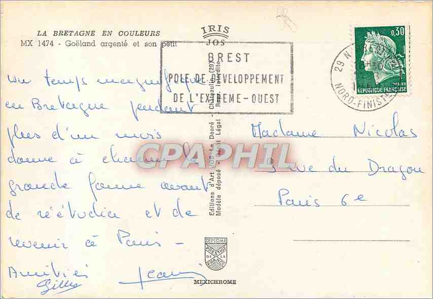 CPM La Bretagne en Couleurs Goeland argente et son petit — Rückseite