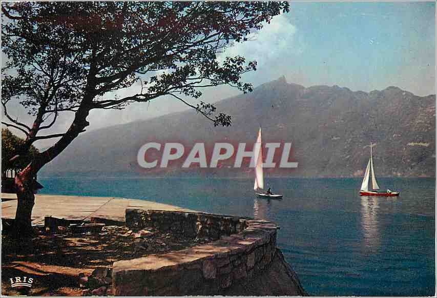 CPM Aix le Bains Lac du Bourget et panorama sur la dent du Chat