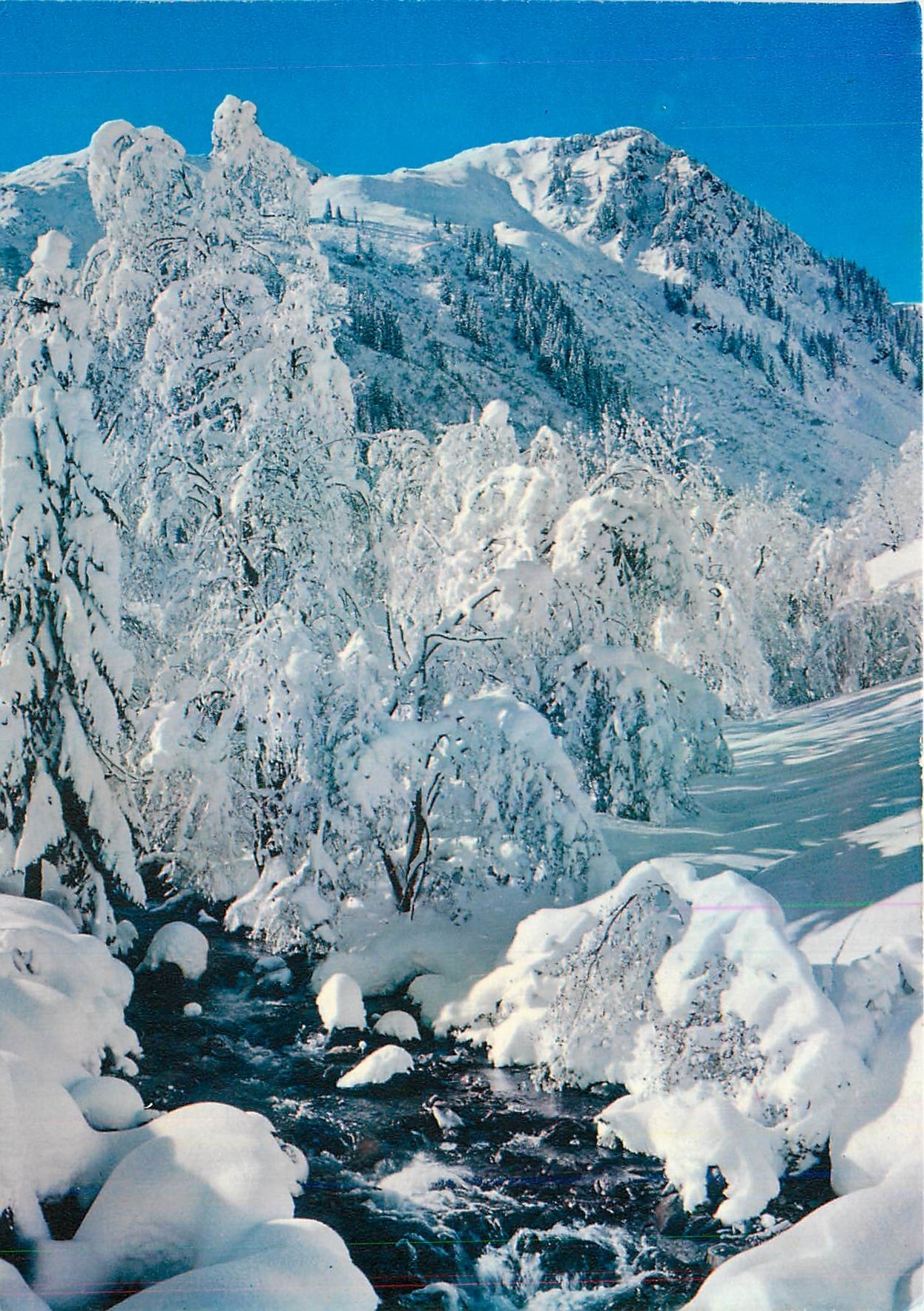 CPM Neige et Soleil Feerie hivernale