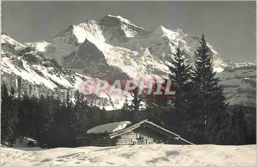 CPM Bel Wengen die Jungfrau 4158m