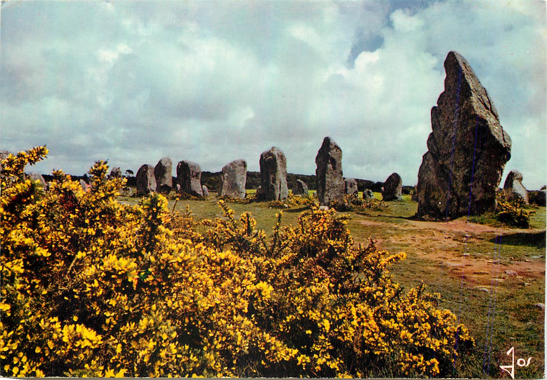 CPM La Bretagne en Coulleurs Carnac (Morbihan) Les Ajoncs et les menhirs
