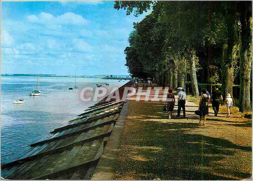 CPM Saint Valery sur Somme La Digue promenade