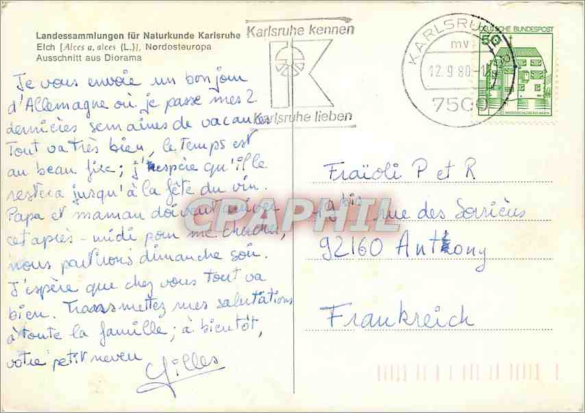 CPM Landessammlugen Fur Naturkunde Karisruhe Elch Nordsteuropa — Rückseite