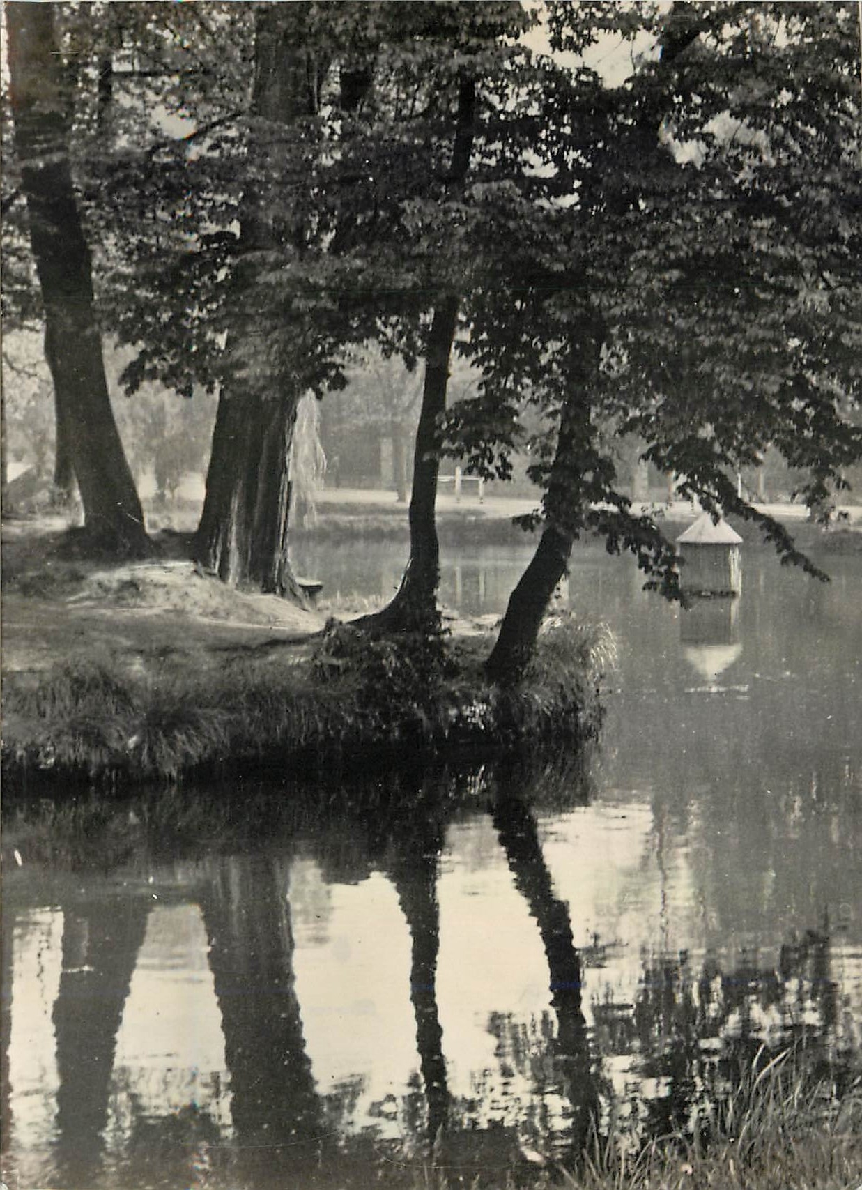CPM Massy (S et O) Vue sur l'Etang