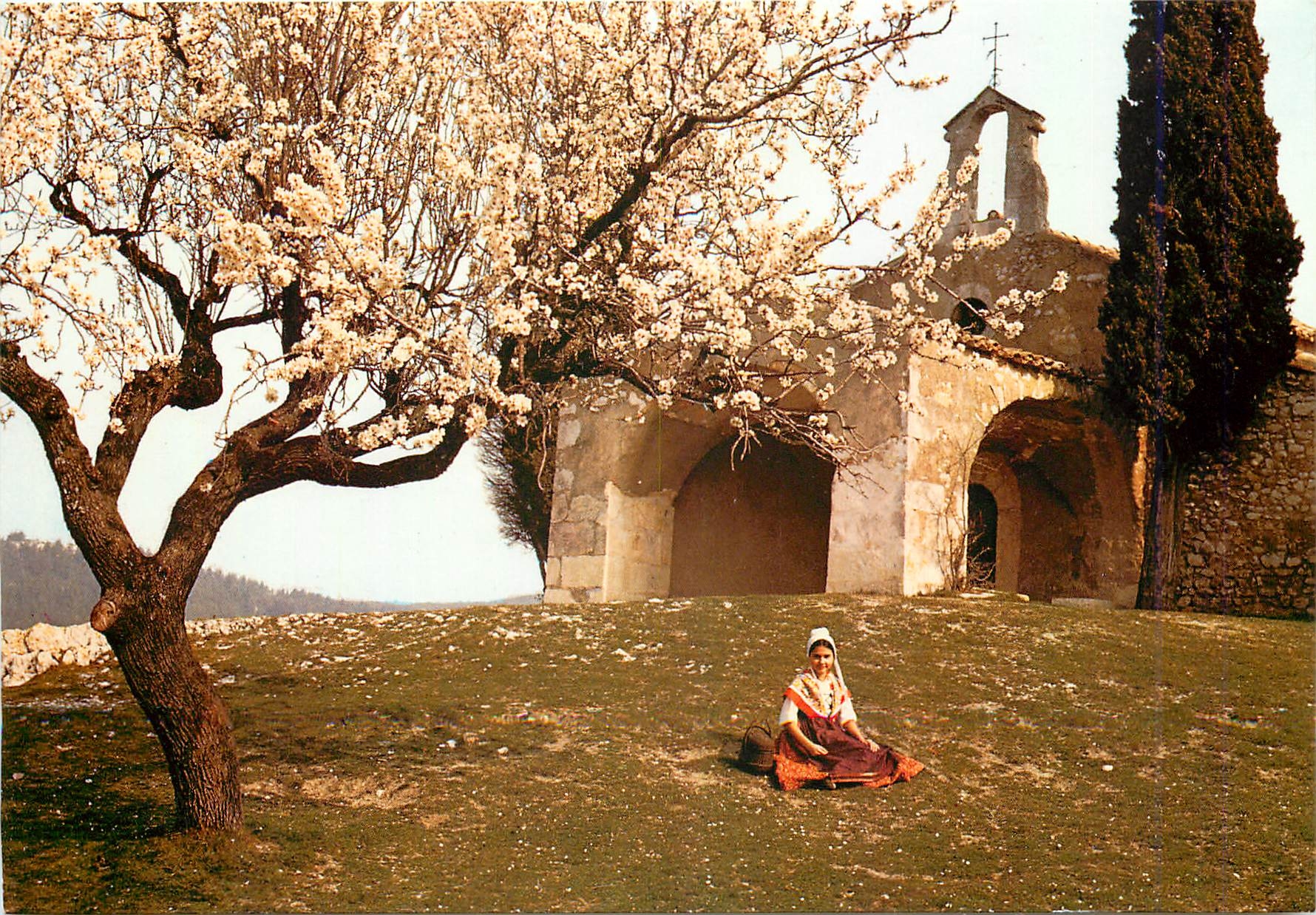 Amandier en fleurs — Vieille Chapelle Romane — Éditions de Provence, n° 4792