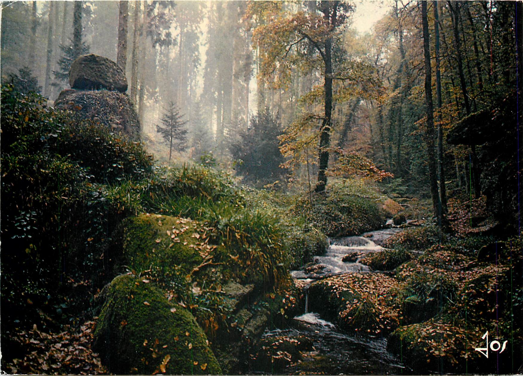 CPM Huelgoat (Finistere) La riviere d'argent en Foret