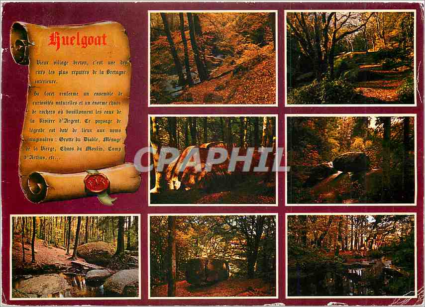 CPM Couleurs de Bretagne Huegoat La foret Legendaire