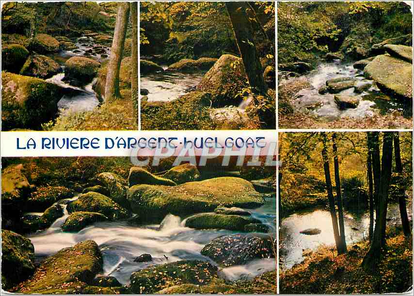 CPM Couleurs de Bretagne Huelgoat La riviere d'argent en sous bois