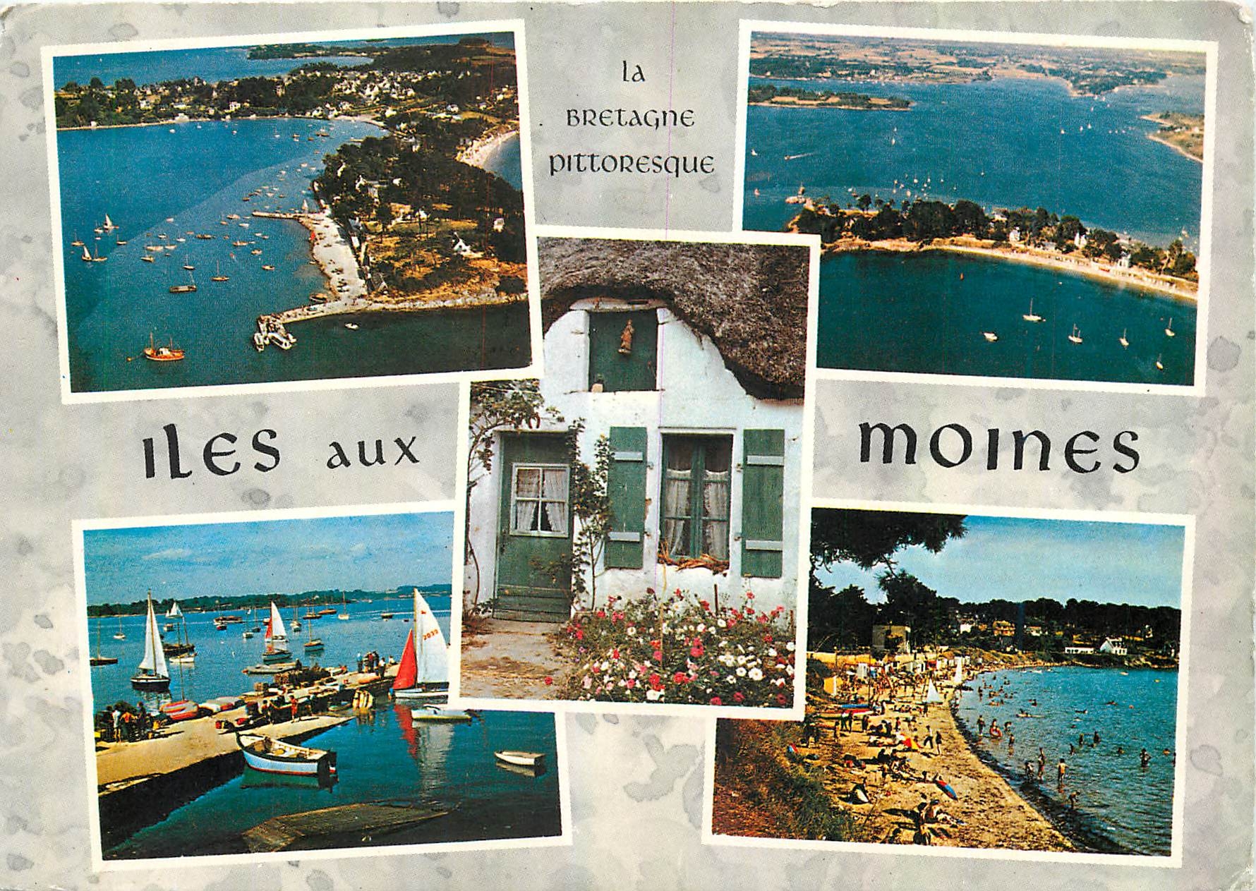 CPM Couleurs de Bretagne Dans le Golfe du Morbihan la merveilleuse ile aux moines