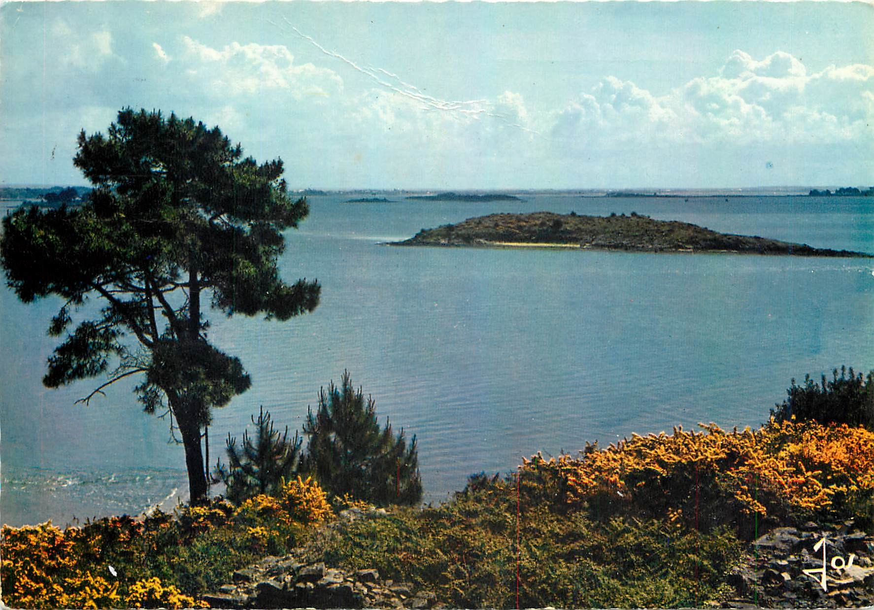CPM Couleurs de Bretagne Le Golfe du Morbihan Perspective sur les Iles