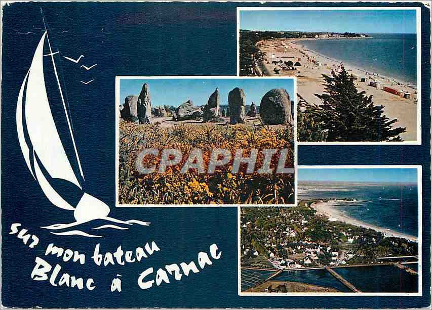 CPM Carnac La plage Menhirs et lande Fleurie vue generale de la cote et la Plage