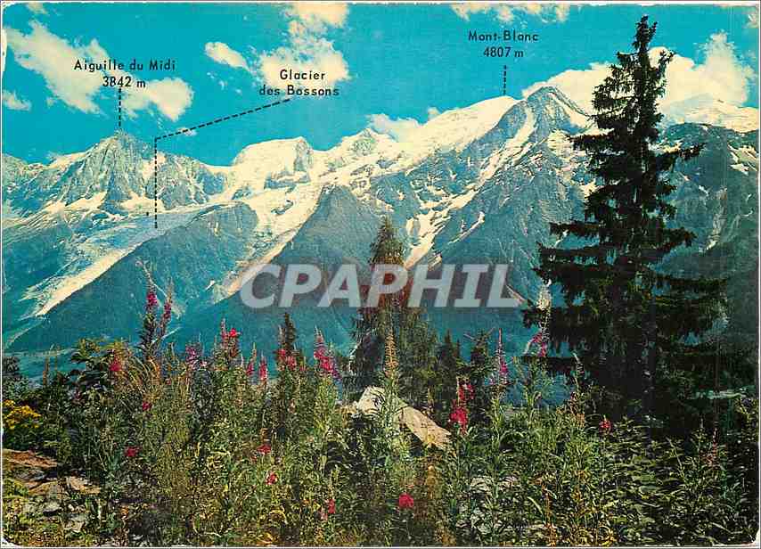 CPM Le Mont Blanc et a ganche l'Aiguille du Midi