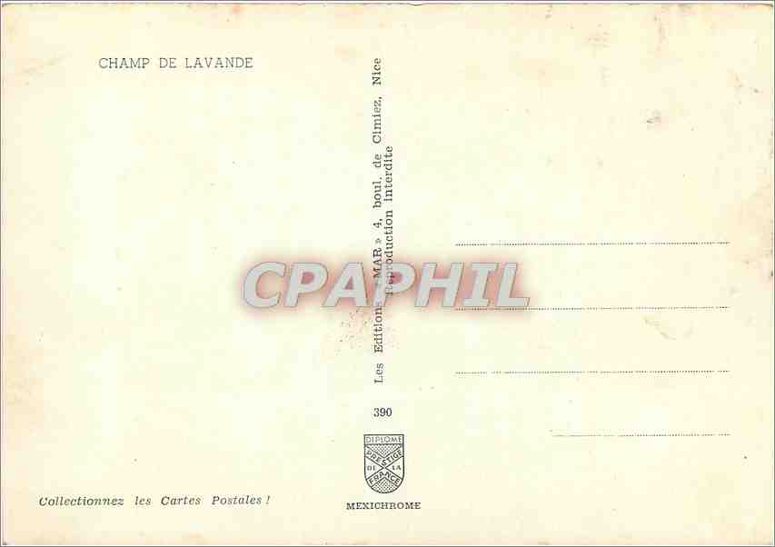 CPM Champ de Lavande — Verso