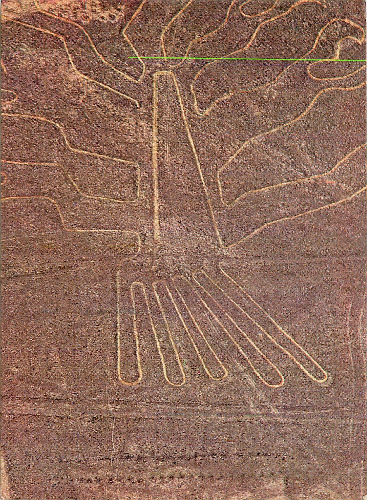 CPM Geoglifos de las muchas que existen de gran extension en el Anfiteatro de Nazca