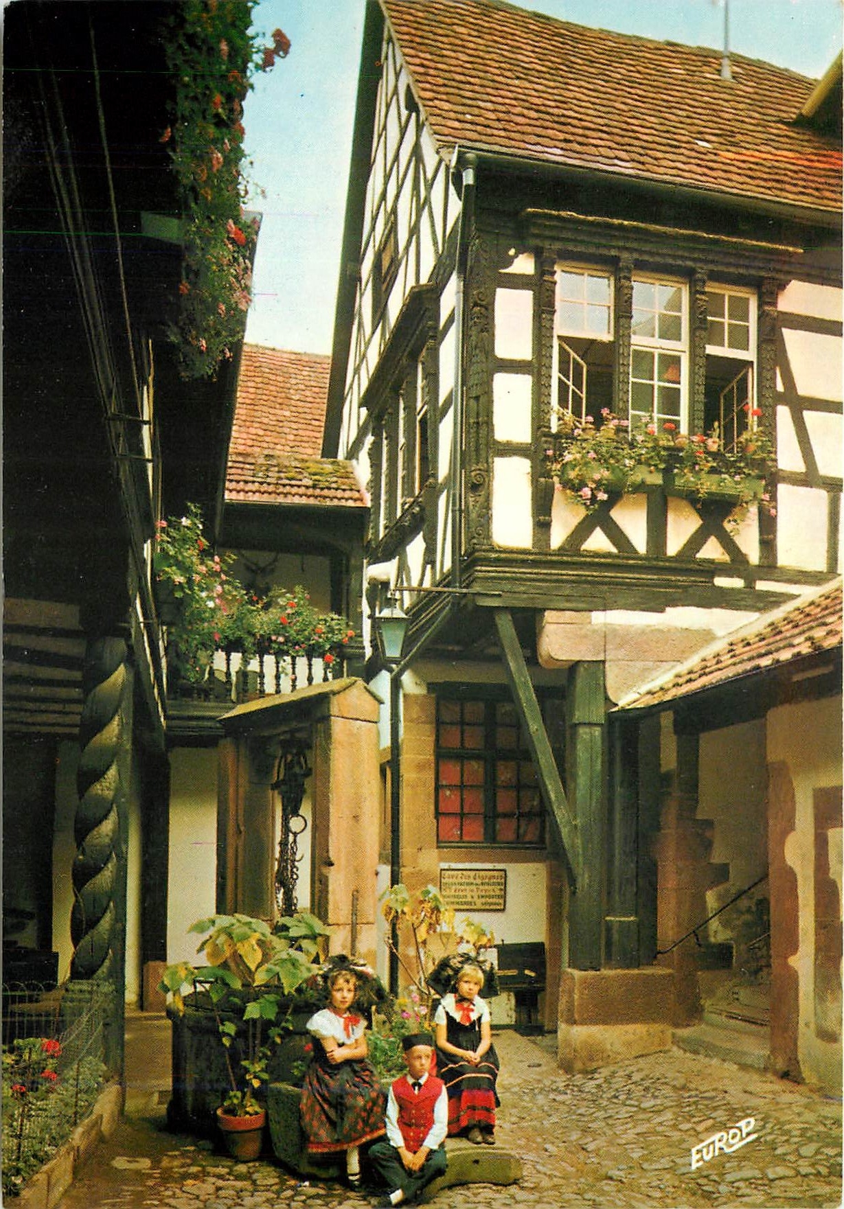 CPM Folklore d'Alsace La Cour des Cigognes de Riquewihr