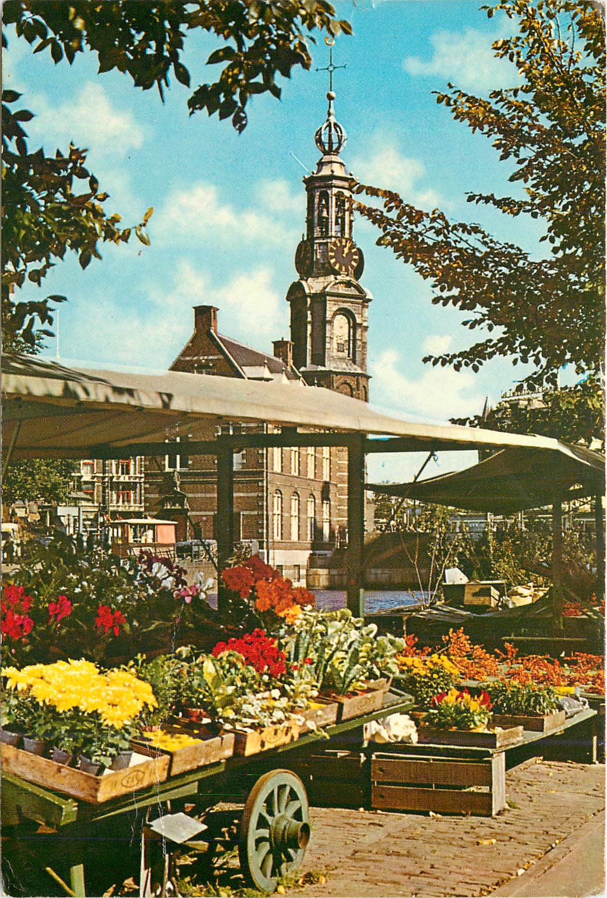CPM Amsterdam Holland Le marche aux fleurs du Singel sous le vieux clocher de la Tour de la monnaie